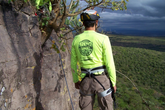 Admira todo una vez que estes arriba